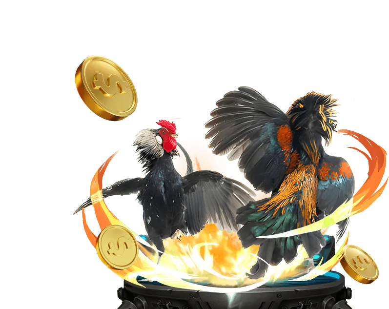 Chiến lược quản lý vốn 33win39