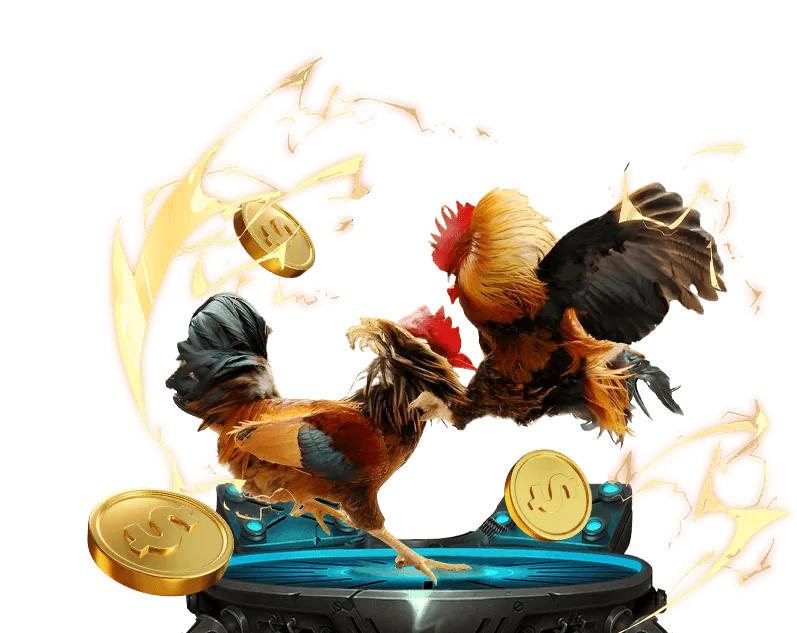 Giao diện cá cược trực tiếp 33win39 với tỷ lệ kèo thay đổi